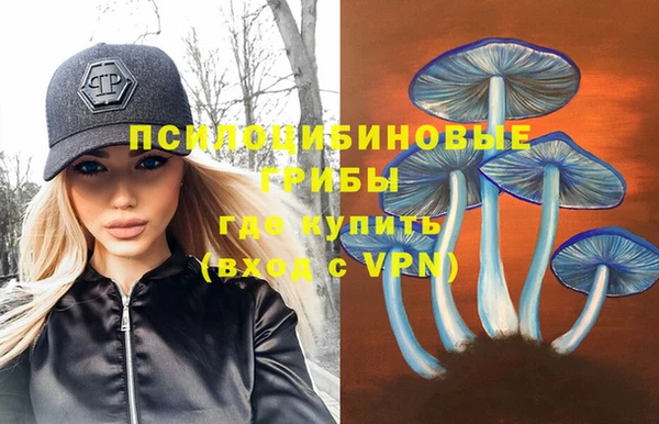 меф Дмитров