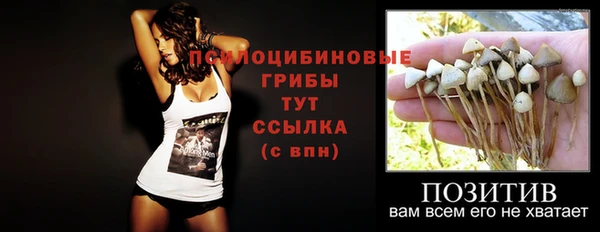 синтетический гашиш Дмитровск