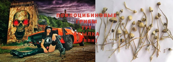 марки lsd Дмитриев