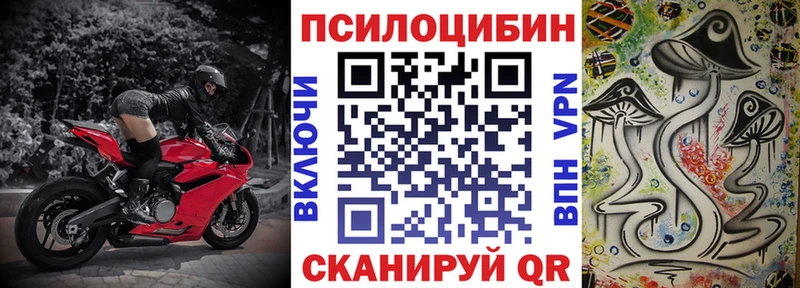 Псилоцибиновые грибы GOLDEN TEACHER Кондопога